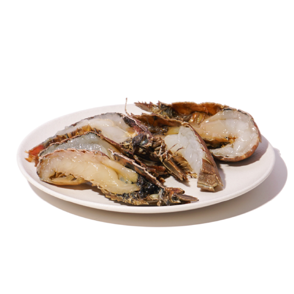 Picture of Moreton Bay Bugs | Raw