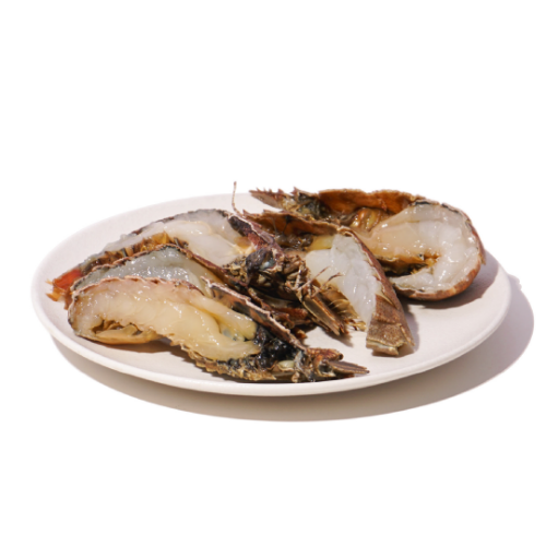 Picture of Moreton Bay Bugs | Raw