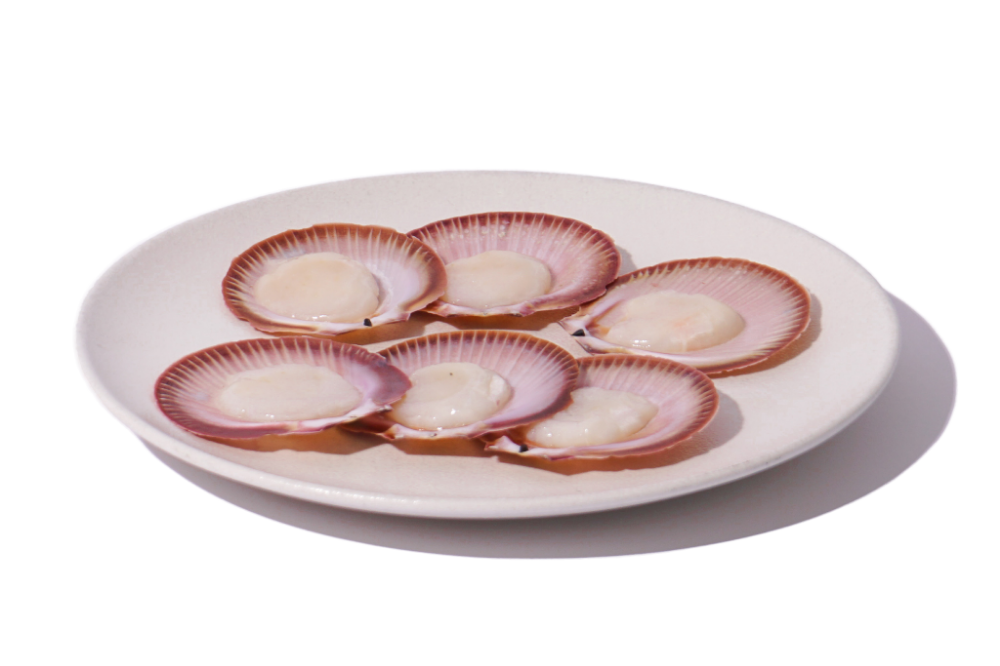 Picture of Hervey Bay Half Shell Scallops 6pk