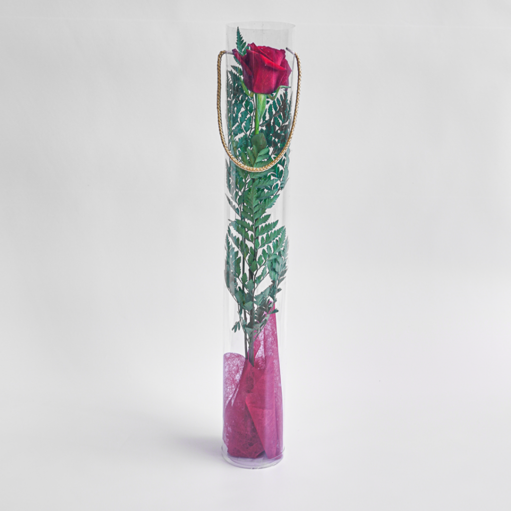 Picture of Single Stem Red Rose 50cm