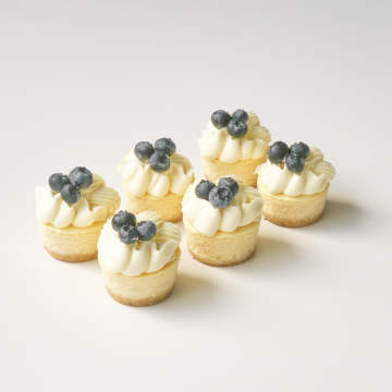 Picture of Cheesecake Mini Blueberry 