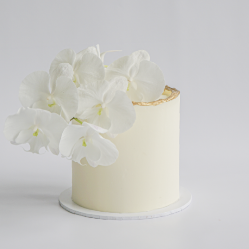 A pristine cream-colored buttercream cake with a textured gold border along the top edge, lavishly decorated with a cluster of white phalaenopsis orchids cascading down one side.