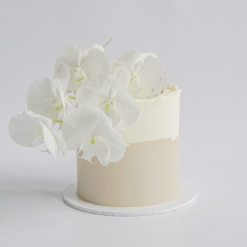 A sophisticated two-tone buttercream cake with a creamy white top half and a light beige bottom half, featuring an uneven, organic line where the two colors meet. The cake is lavishly decorated with a large cluster of fresh white phalaenopsis orchids cascading down one side.