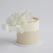 A sophisticated two-tone buttercream cake with a creamy white top half and a light beige bottom half, featuring an uneven, organic line where the two colors meet. The cake is lavishly decorated with a large cluster of fresh white phalaenopsis orchids cascading down one side.