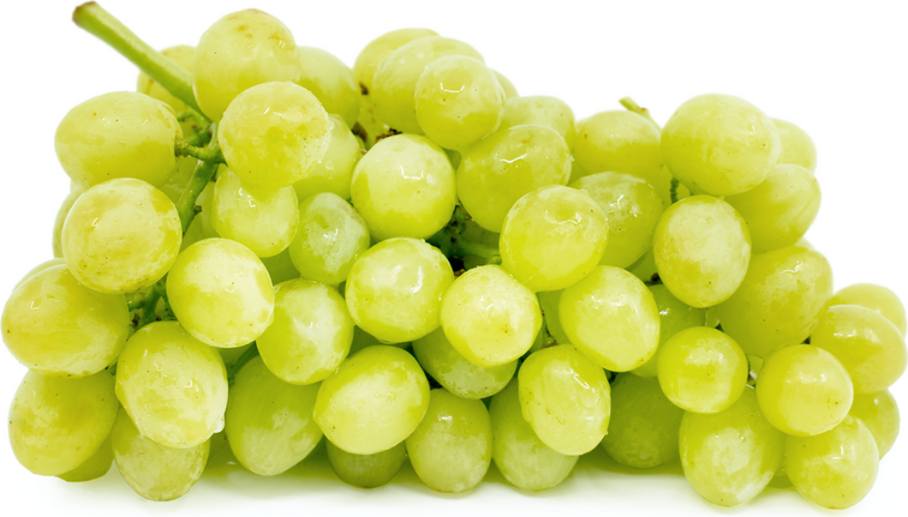 Picture of GRAPES SEEDLESS GREEN