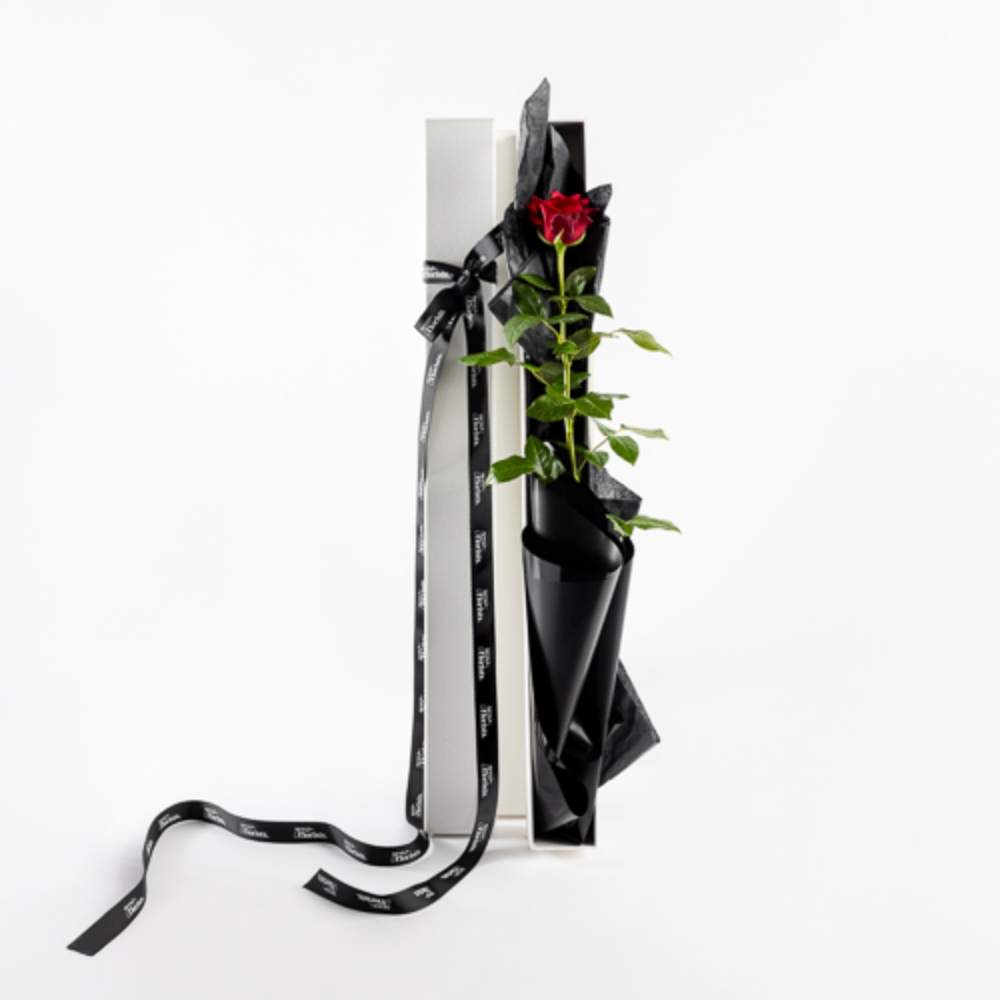 Picture of BOXED SINGLE ROSE