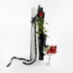 Picture of BOXED SINGLE ROSE