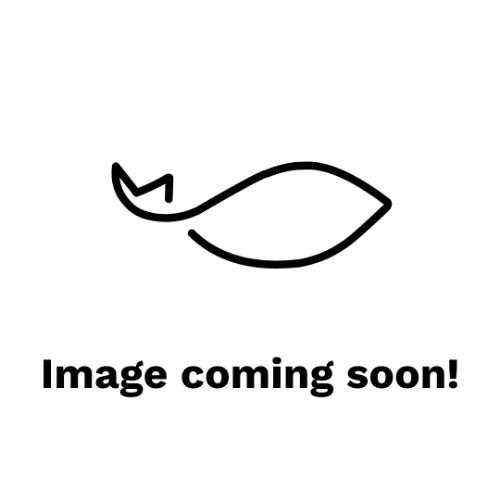 Picture of Raw & Deveined Prawn Cutlets