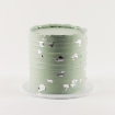 LaManna Sage Green Rough Lines Buttercream Cake with Silver Leaf